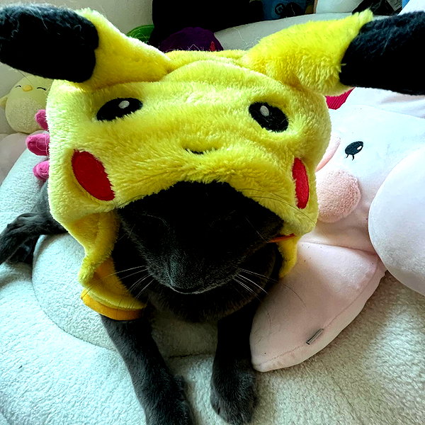 smashedelyyy instagram image archive image