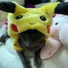 smashedelyyy Altpins Profile Picture