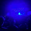 smashedelyyy Altpins Profile Picture