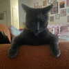 smashedelyyy Altpins Profile Picture