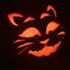 smashedelyyy Altpins Profile Picture