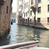 sofia.miron Altpins Profile Picture