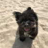 sofia.miron Altpins Profile Picture