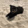 sofia.miron Altpins Profile Picture