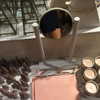 sofia.miron Altpins Profile Picture