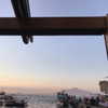 sofia.miron Altpins Profile Picture