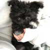 sofia.miron Altpins Profile Picture