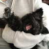 sofia.miron Altpins Profile Picture
