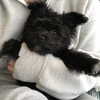 sofia.miron Altpins Profile Picture