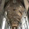 sofia.miron Altpins Profile Picture