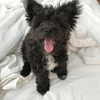 sofia.miron Altpins Profile Picture