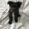 sofia.miron Altpins Profile Picture