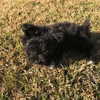 sofia.miron Altpins Profile Picture