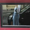 sofia.miron Altpins Profile Picture
