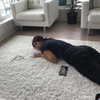 sofia.miron Altpins Profile Picture