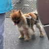 sofia.miron Altpins Profile Picture