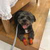 sofia.miron Altpins Profile Picture