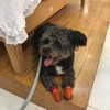 sofia.miron Altpins Profile Picture