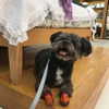 sofia.miron Altpins Profile Picture