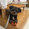 sofia.miron Altpins Profile Picture