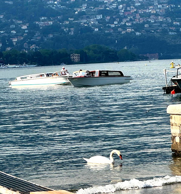 sofia.miron instagram image archive image