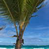 sofia.miron Altpins Profile Picture