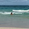 sofia.miron Altpins Profile Picture