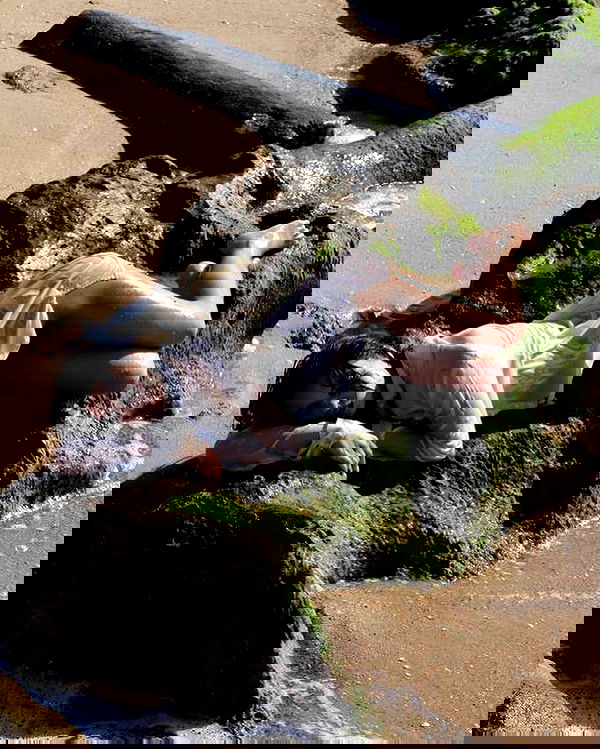 sofiabooshin sofiabooshin archive image