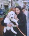 soll_f0 Altpins Profile Picture