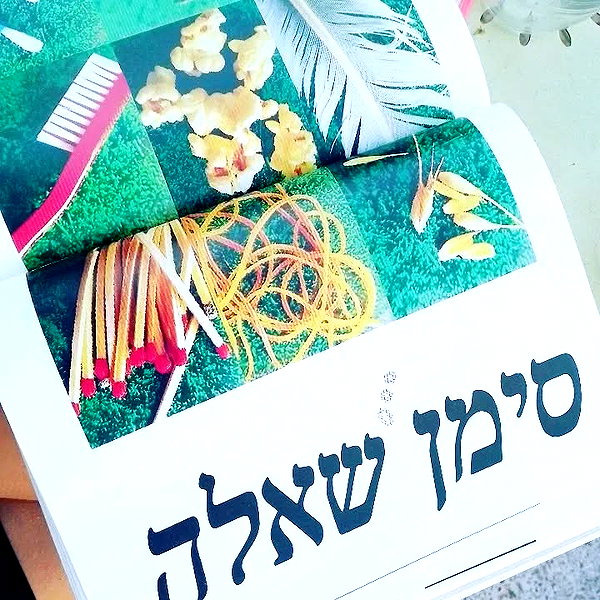 soll_f0 instagram image archive image