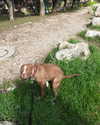 soll_f0 Altpins Profile Picture