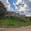 soll_f0 Altpins Profile Picture