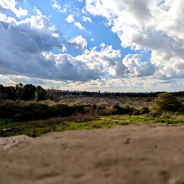 soll_f0 instagram image archive image