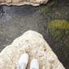 soll_f0 Altpins Profile Picture