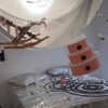 soll_f0 Altpins Profile Picture