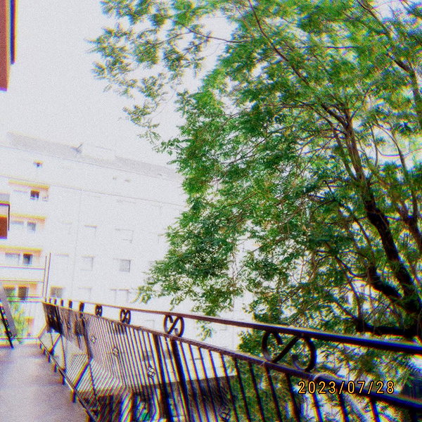 soll_f0 soll_f0 archive image