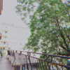 soll_f0 Altpins Profile Picture