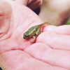 soll_f0 Altpins Profile Picture