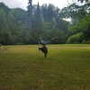 sonia.v._ Altpins Profile Picture