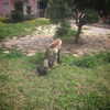 sonia_litvanchuk Altpins Profile Picture