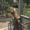 sonia_litvanchuk Altpins Profile Picture