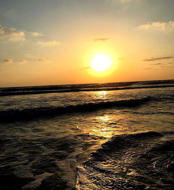 sonia_litvanchuk instagram image archive image
