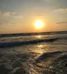 sonia_litvanchuk Altpins Profile Picture