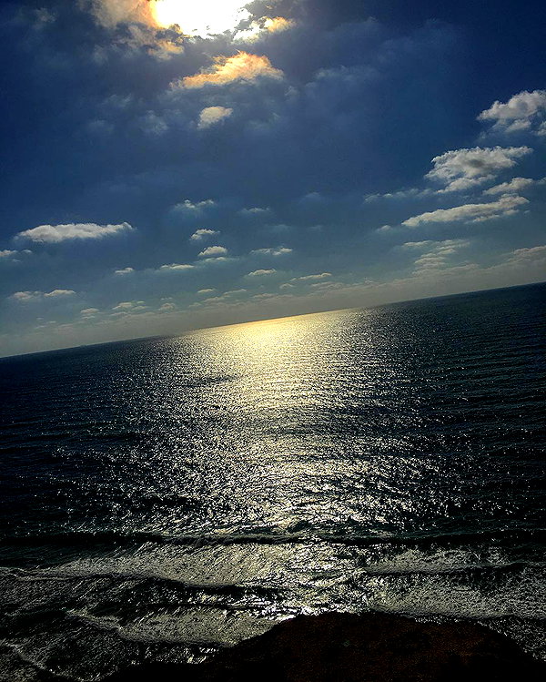 sonia_litvanchuk instagram image archive image
