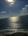 sonia_litvanchuk Altpins Profile Picture