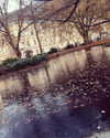 sonia_litvanchuk Altpins Profile Picture