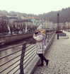sonia_litvanchuk Altpins Profile Picture