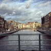 sonia_litvanchuk Altpins Profile Picture