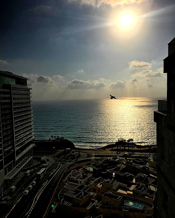 sonia_litvanchuk instagram image archive image