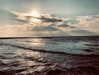 sonia_litvanchuk Altpins Profile Picture
